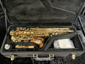 Photo LIKE NEW! Yanagisawa AWO2 Bronze Series Professional Alto Sax - Serial # 00412673